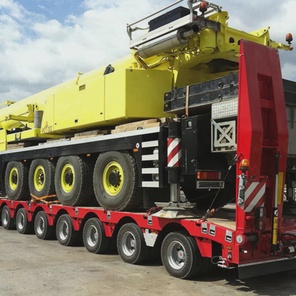 Тралы (низкорамники)